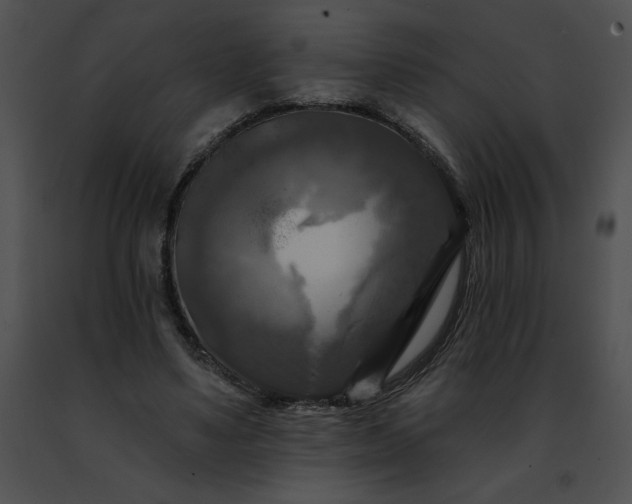 X0000091460491200708301834