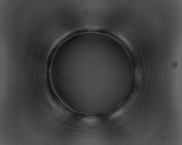 X0000091460492200708301834