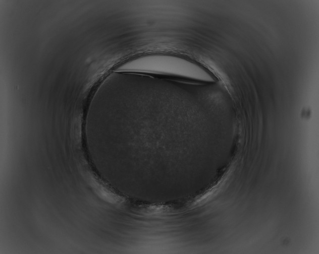 X0000091460493200708301834