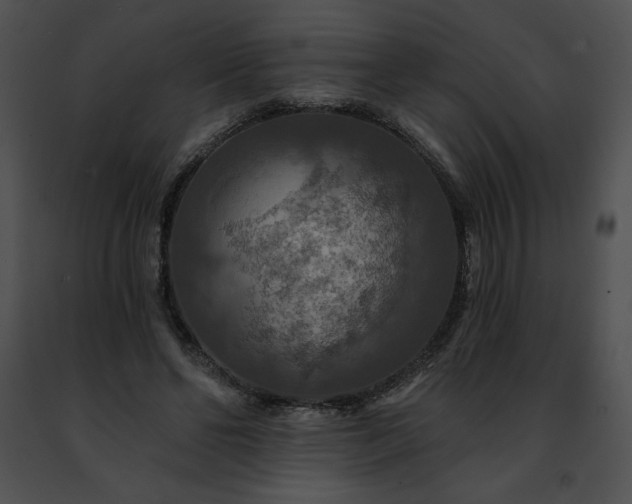 X0000091460494200708301834