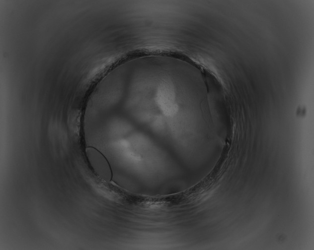 X0000091460495200708301834