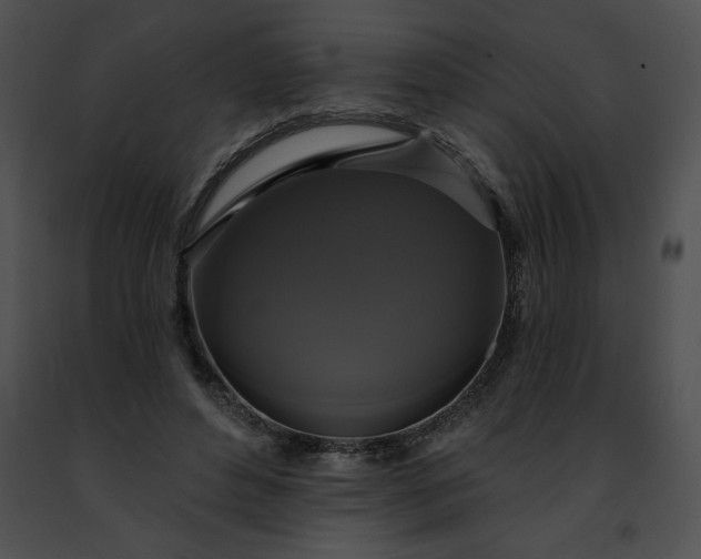 X0000091460496200708301834