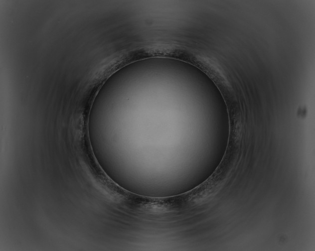 X0000091460498200708301834