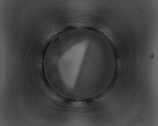 X0000091460499200708301834