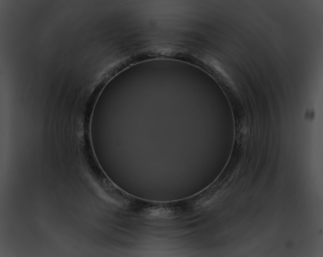 X0000091460500200708301834