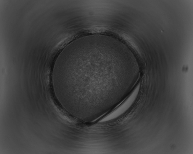 X0000091460501200708301834