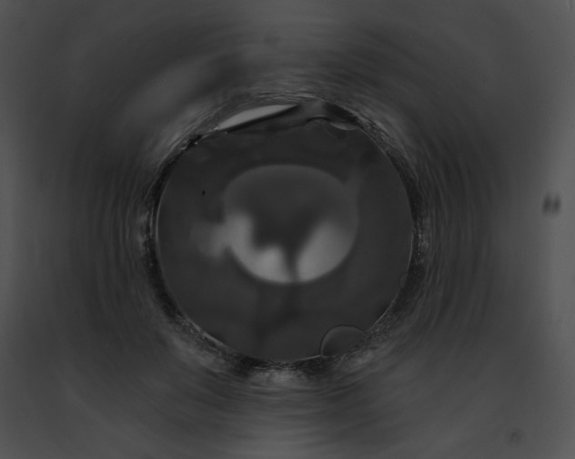 X0000091460503200708301834