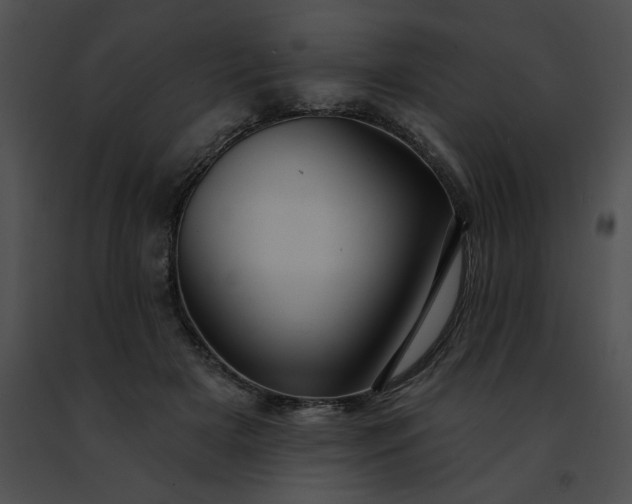 X0000091460505200708301834