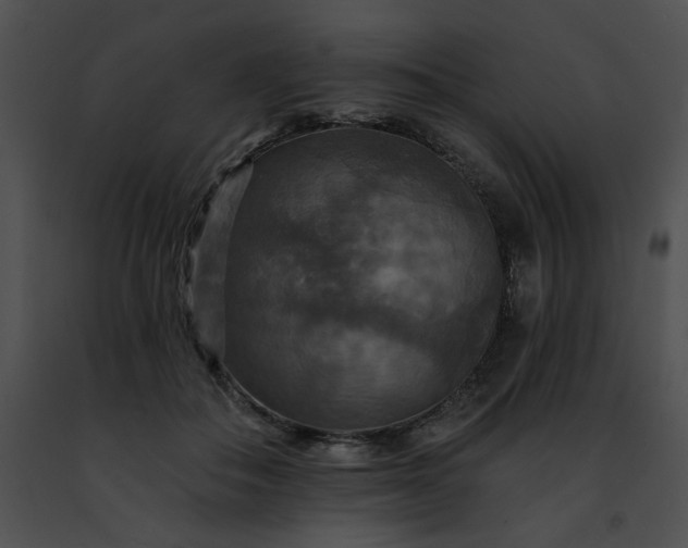 X0000091460506200708301834