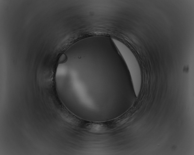 X0000091460507200708301834