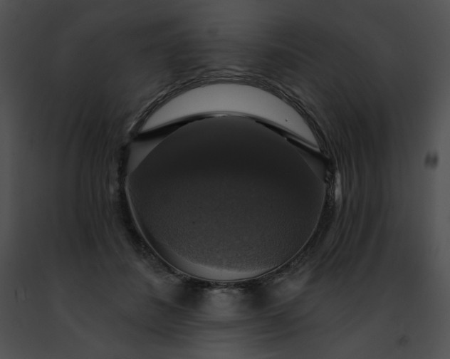 X0000091460508200708301834