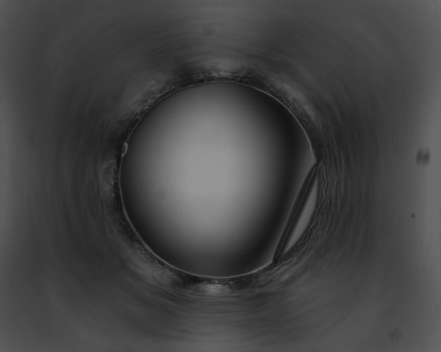 X0000091460509200708301834