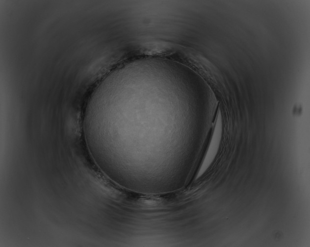 X0000091460510200708301834