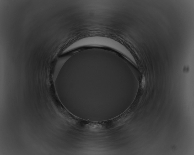 X0000091460512200708301834