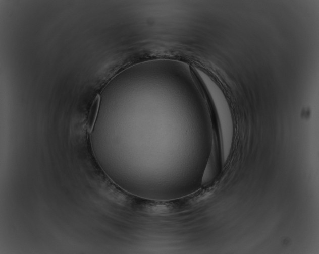 X0000091460513200708301834