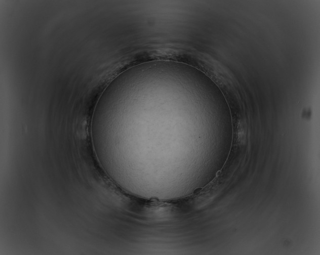 X0000091460514200708301834