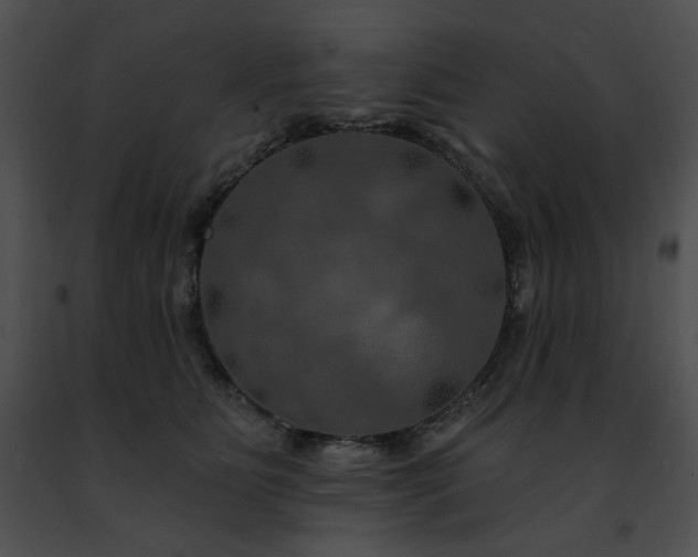 X0000091460515200708301834