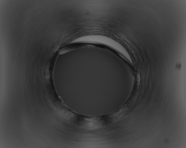 X0000091460516200708301834