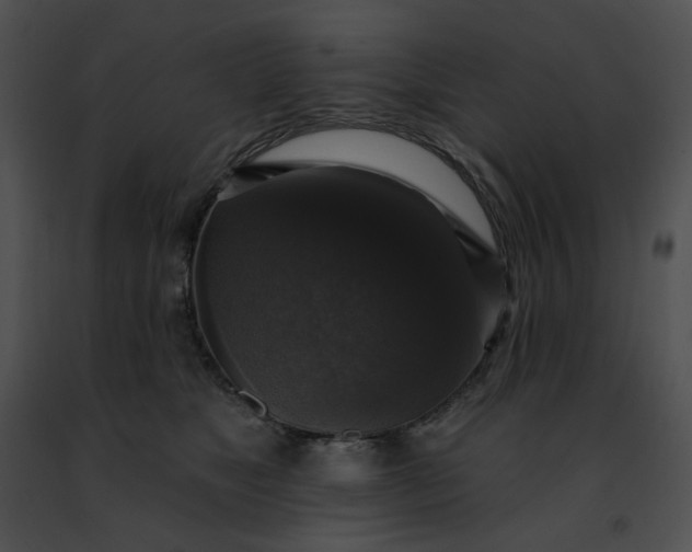 X0000091460517200708301834