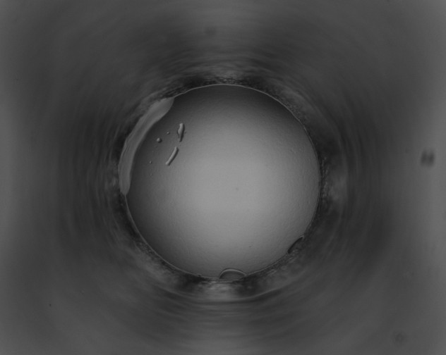 X0000091460518200708301834