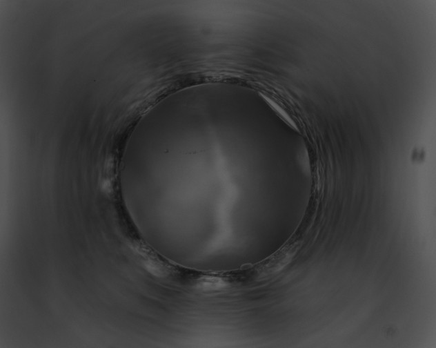 X0000091460519200708301834