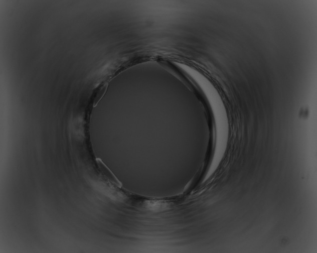 X0000091460520200708301834