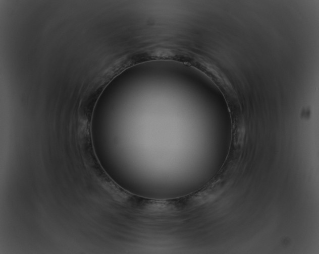 X0000091460521200708301834