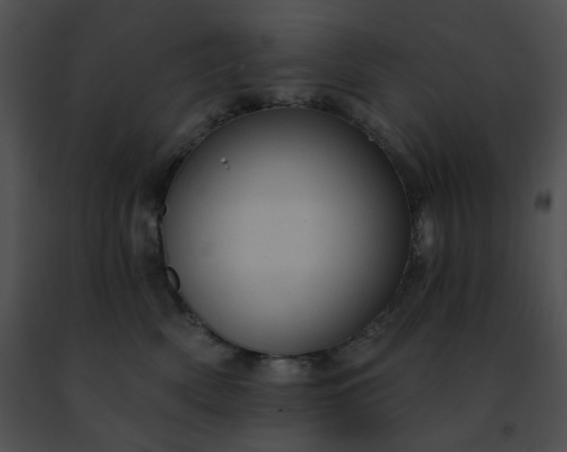 X0000091460522200708301834