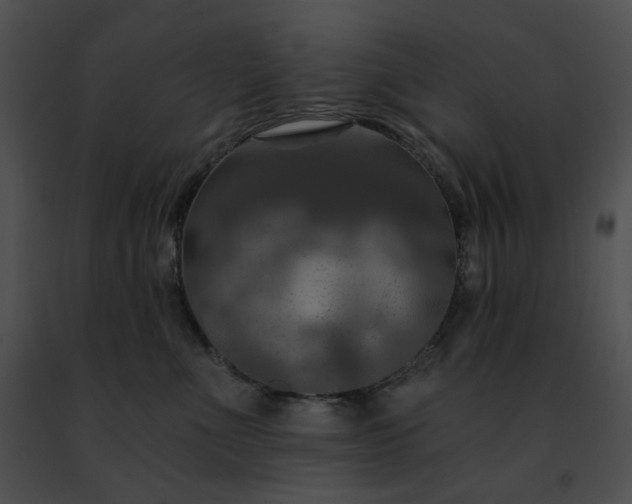 X0000091460523200708301834