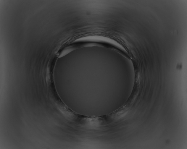 X0000091460524200708301834