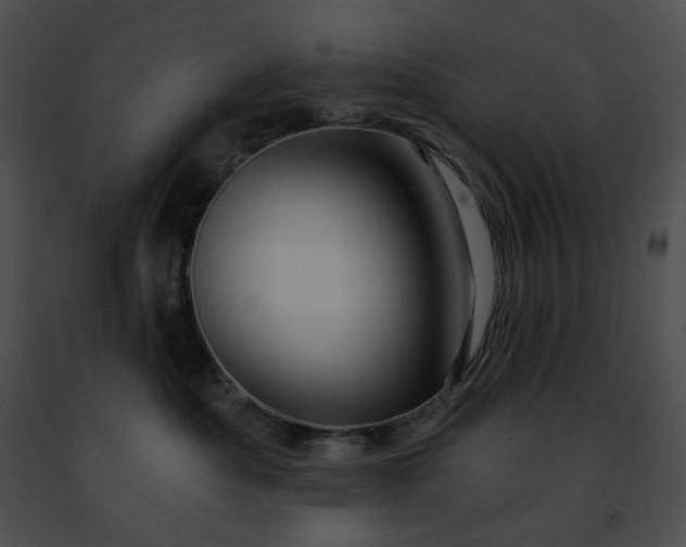 X0000091460525200708301834