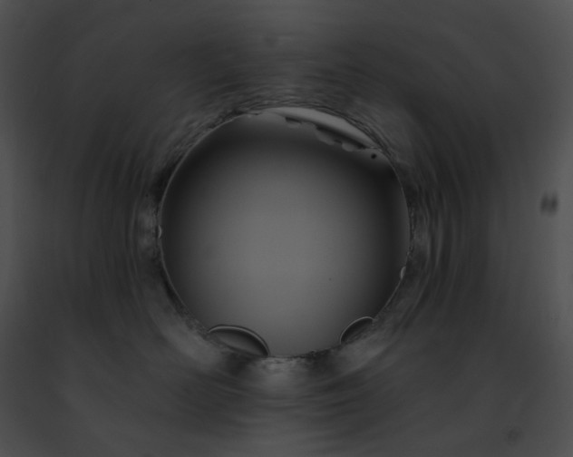 X0000091460526200708301834