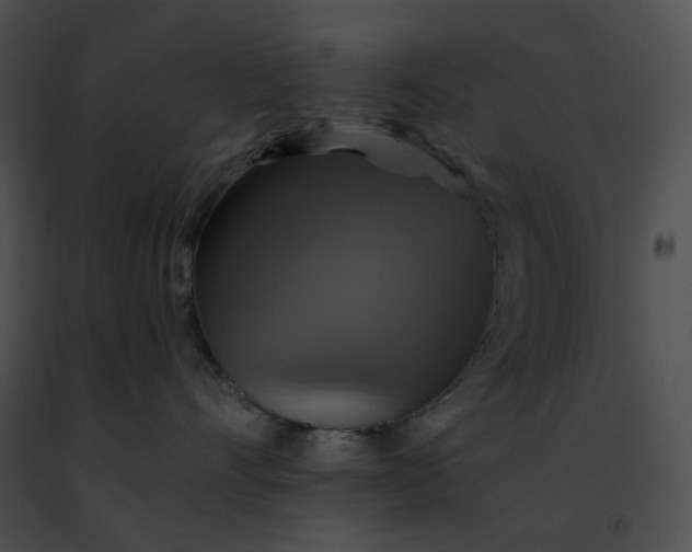 X0000091460528200708301834