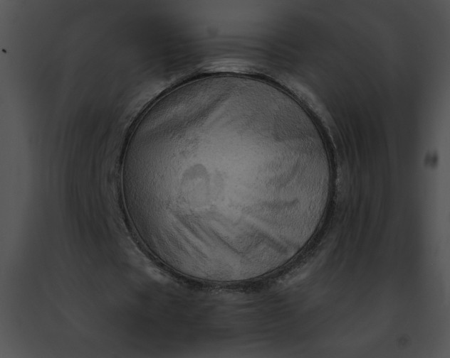 X0000091460529200708301833