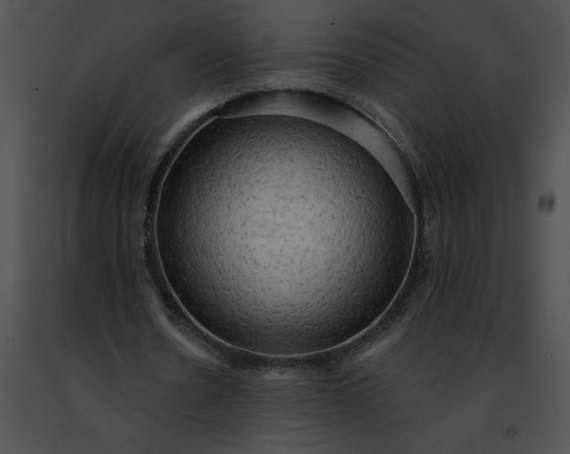 X0000091460530200708301833