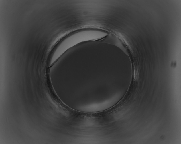 X0000091460531200708301833