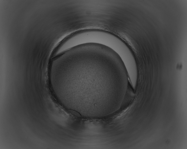 X0000091460532200708301833