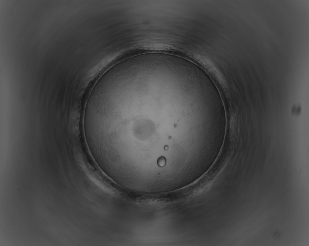 X0000091460533200708301833