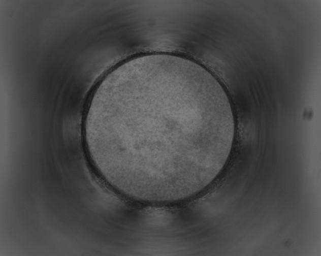 X0000091460534200708301833