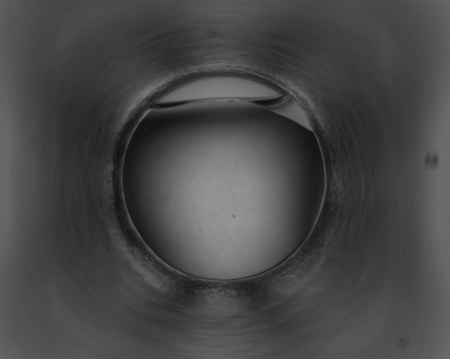 X0000091460535200708301833