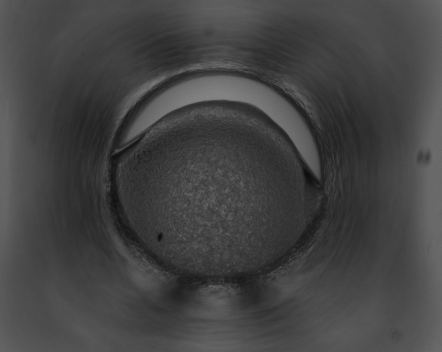 X0000091460536200708301833