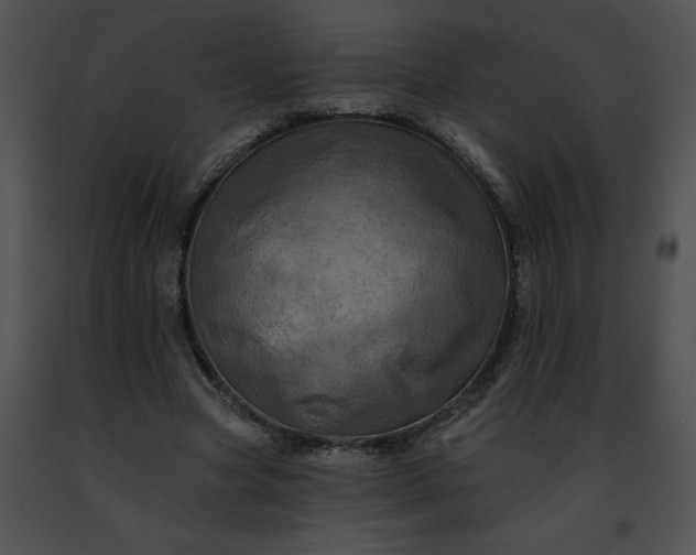 X0000091460537200708301833