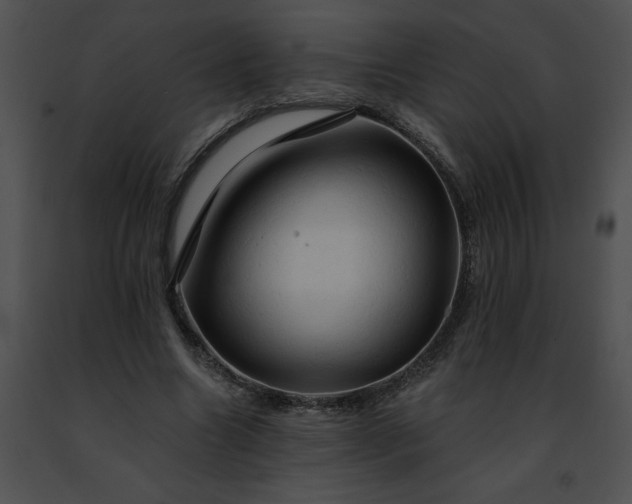 X0000091460538200708301833