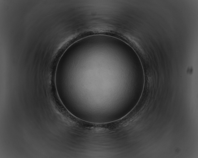 X0000091460539200708301833