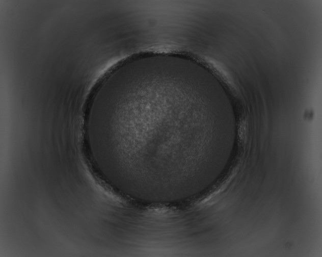 X0000091460540200708301833