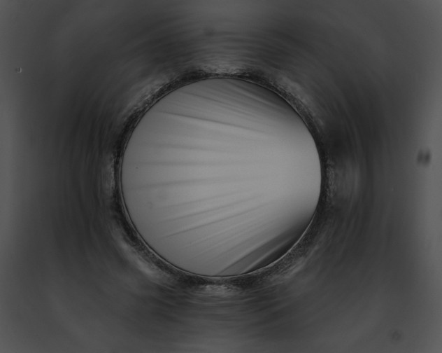 X0000091460541200708301833