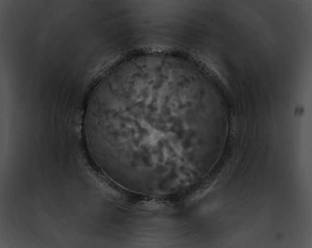 X0000091460545200708301833