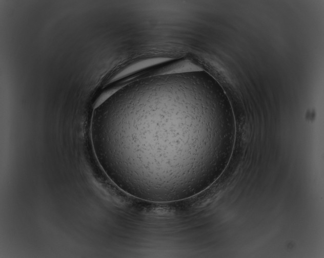 X0000091460546200708301833