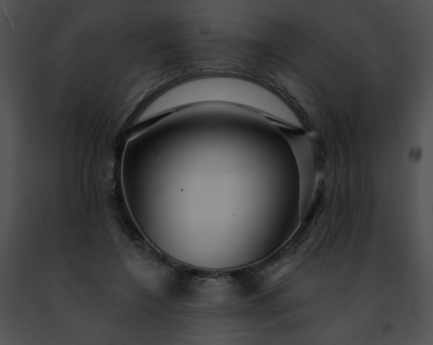 X0000091460548200708301833