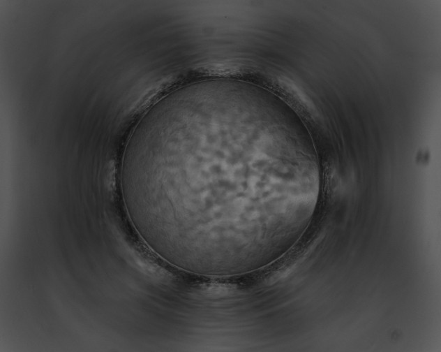 X0000091460549200708301833